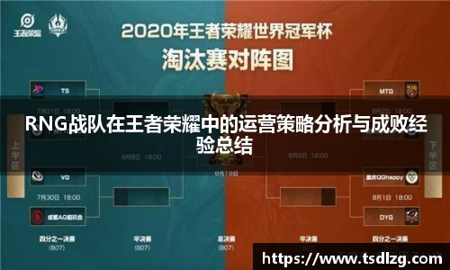 RNG战队在王者荣耀中的运营策略分析与成败经验总结