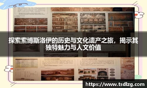 探索索博斯洛伊的历史与文化遗产之旅，揭示其独特魅力与人文价值